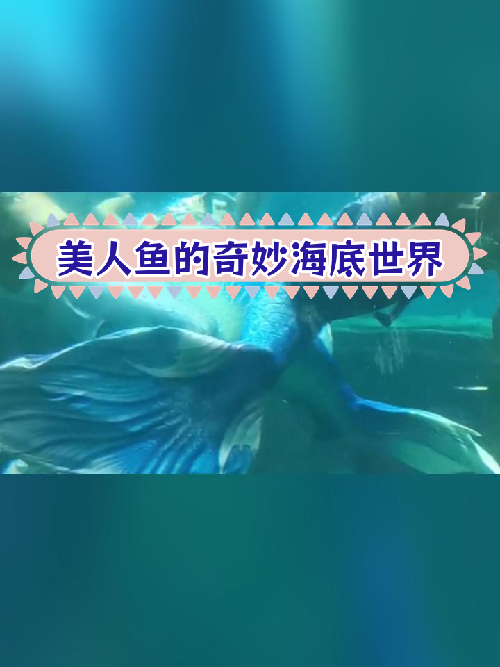 广西北海海洋馆美人鱼表演:人与自然的和谐共舞