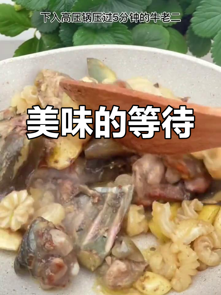 甲鱼炖牛,提前三天预定,美味值得等待!