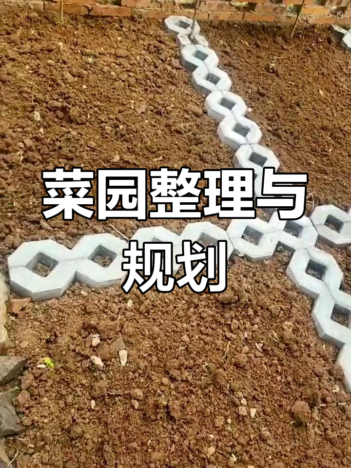 菜园规划大揭秘:韭菜地保留,青萝卜冬季必备