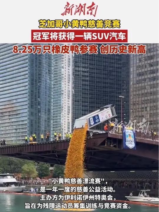 芝加哥小黄鸭慈善竞赛(编辑:啊哒)