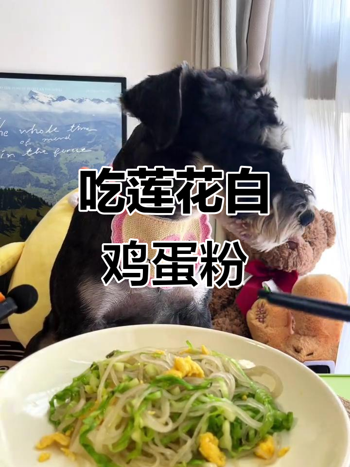 莲花白鸡蛋炒粉丝,今天吃这个!