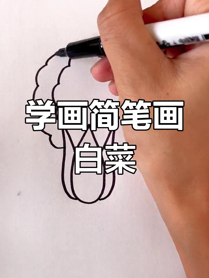 简单几步画出新鲜小白菜