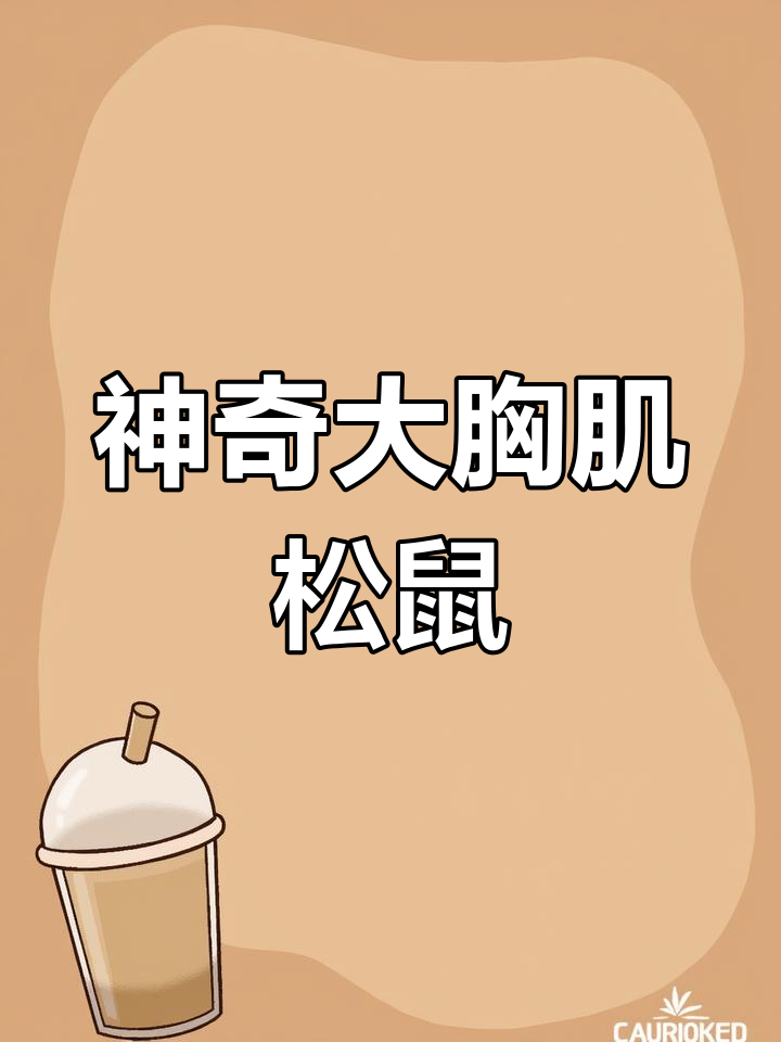 大胸肌松鼠来啦!它还会跟你捉迷藏,超有趣