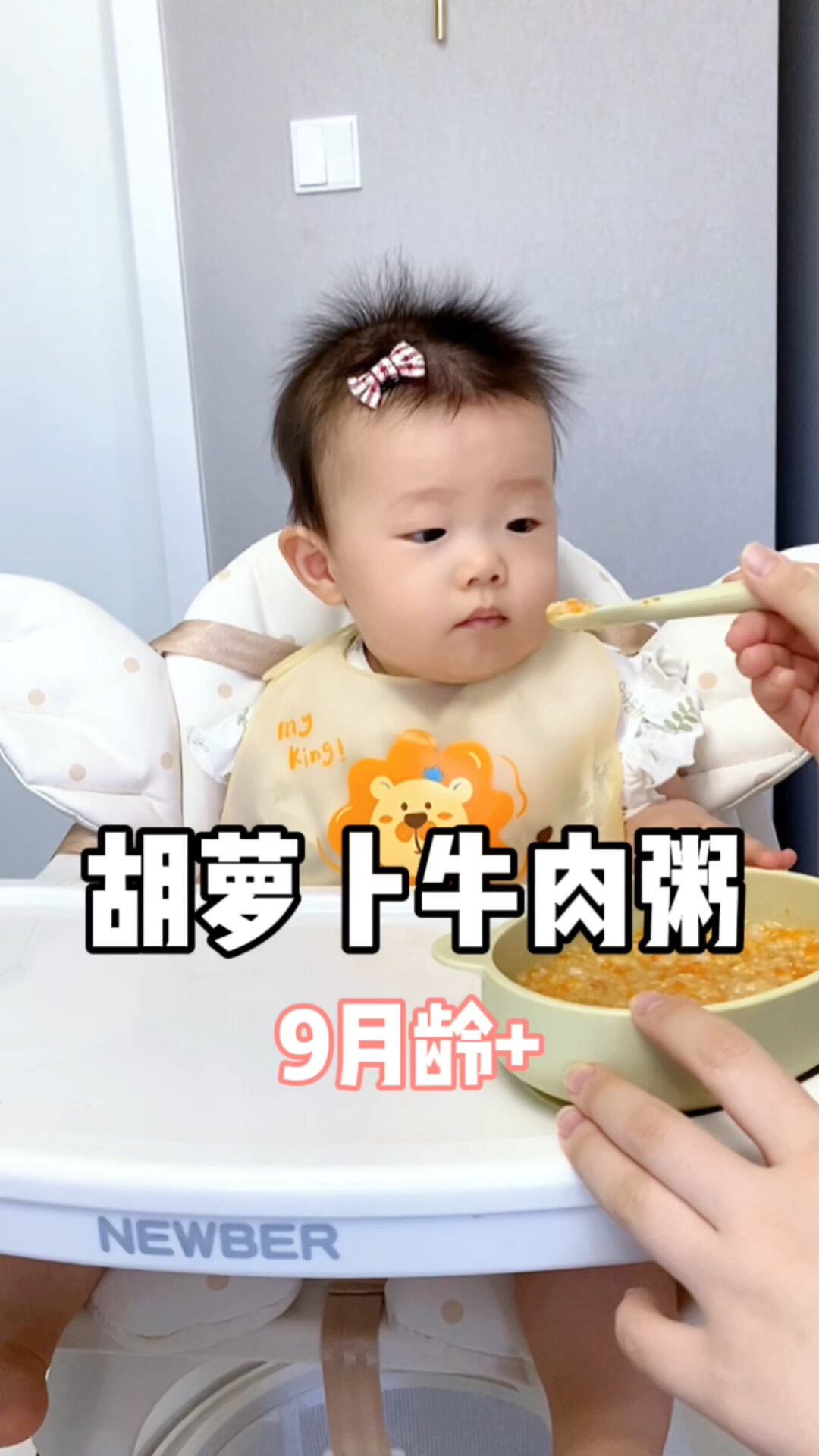 9月龄宝宝辅食:胡萝卜牛肉粥
