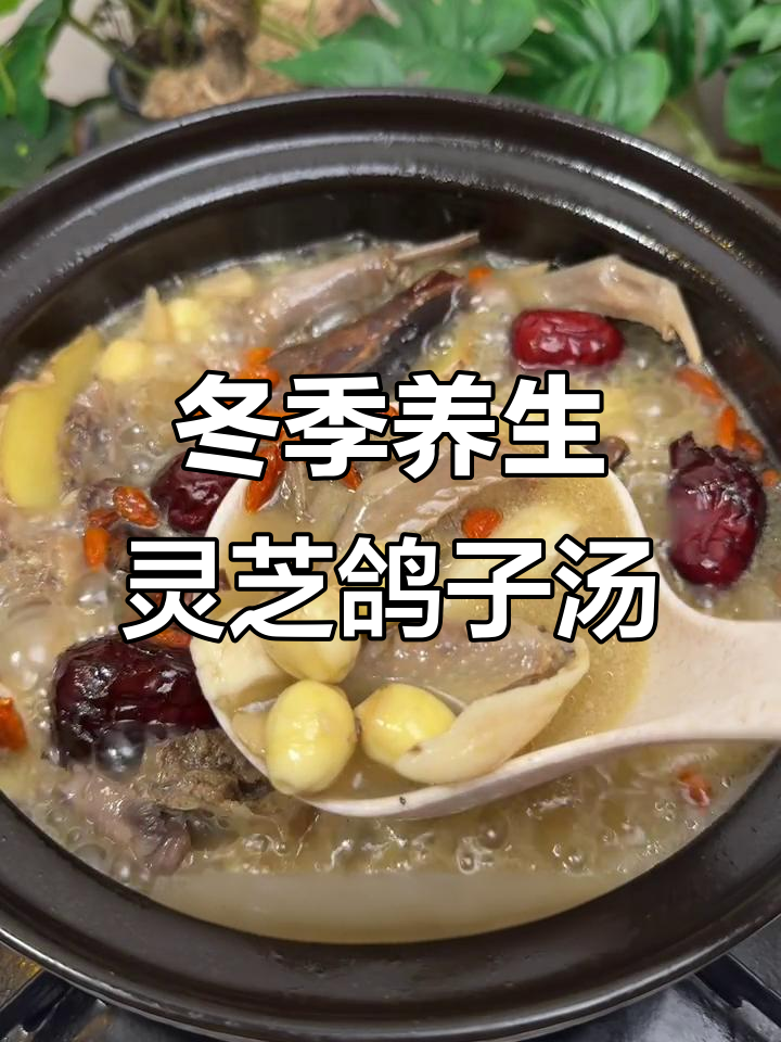 秋冬滋补灵芝鸽子汤，睡前一碗暖心安神