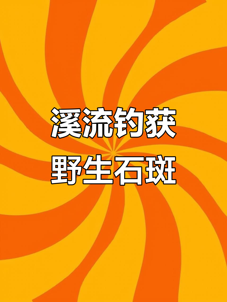 溪边钓鱼钓到野生石斑鱼,八十斤大货频频上钩