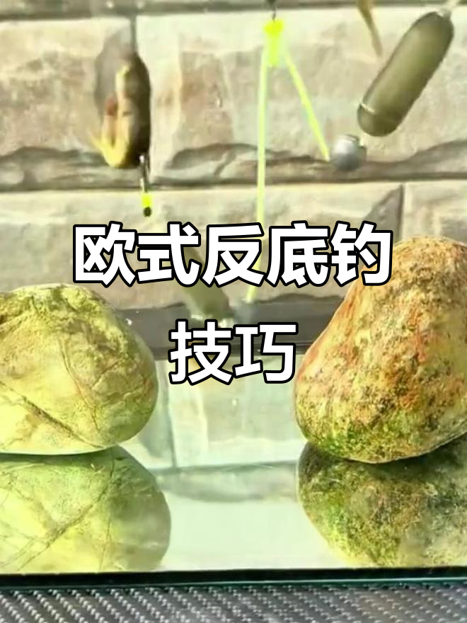 反底钓法揭秘:如何用活饵诱捕翘嘴、黑鱼和鳜鱼