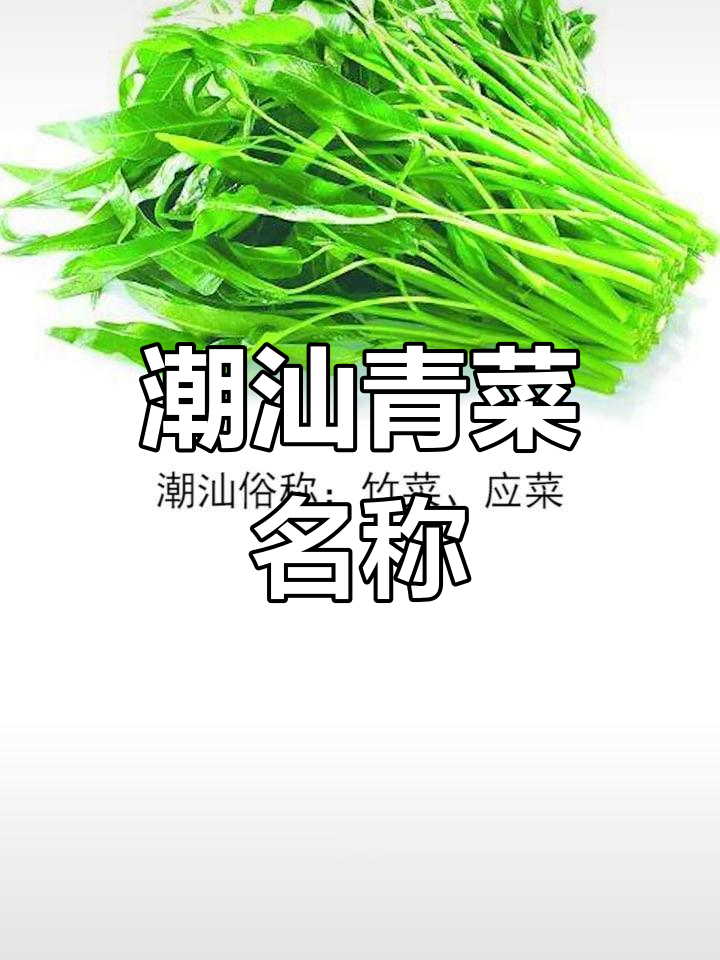 潮汕常见蔬菜大全