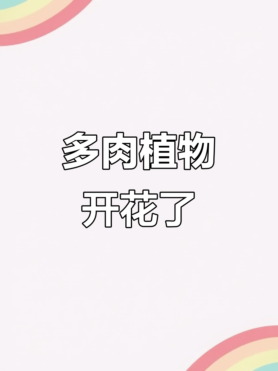 三年养的多肉终于开花,嘟嘟唇萌态十足