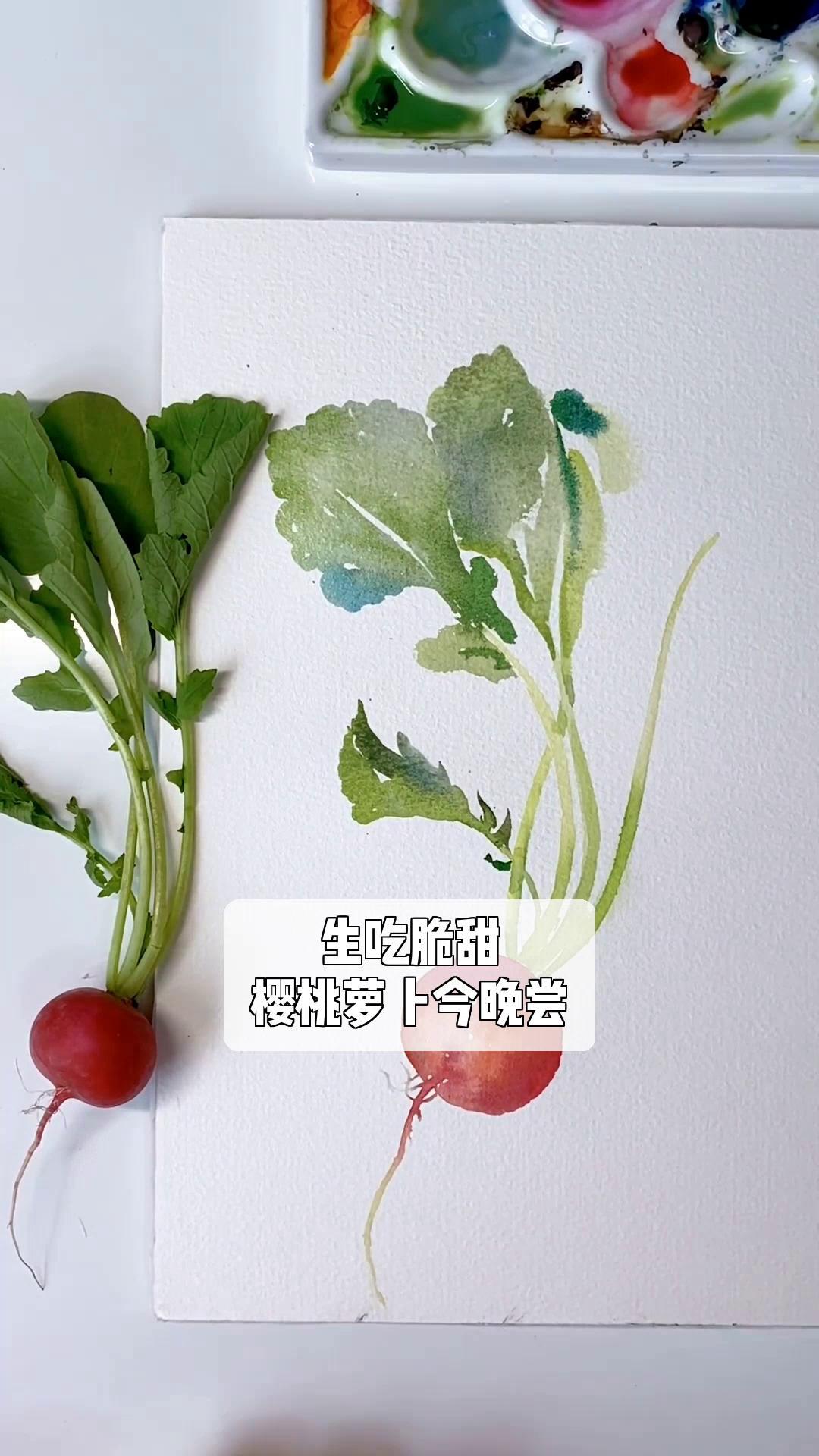 生吃脆甜,樱桃萝卜今晚尝