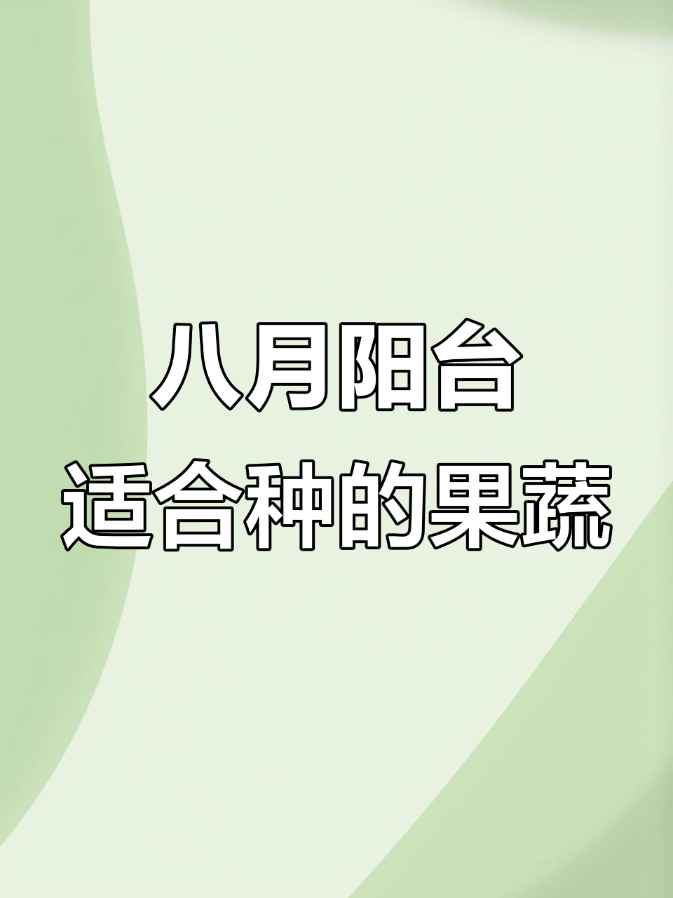 8月阳台种植水果蔬菜全攻略,胡萝卜、番茄和黄瓜都能种