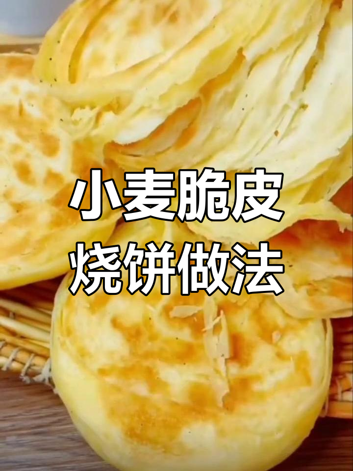 轻松做小麦脆皮烧饼,夹土豆丝红烧肉更美味