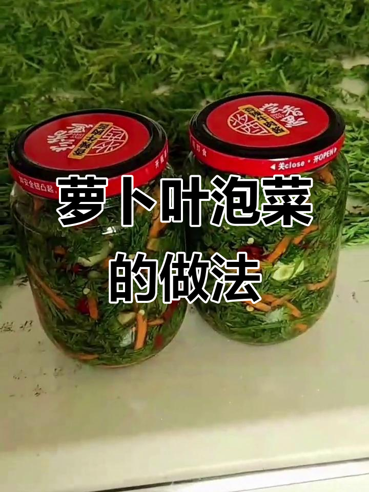 用胡萝卜叶子做美味腌菜,简单又好吃!