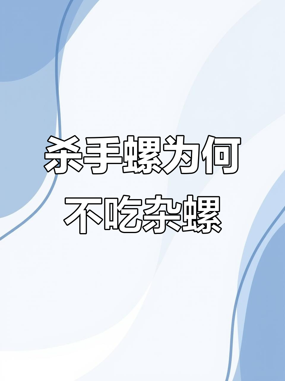 为什么杀手螺不吃杂螺?它俩是在约会吗