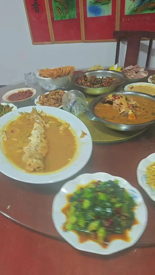 呈现家常菜肴与手工包饺子的全过程