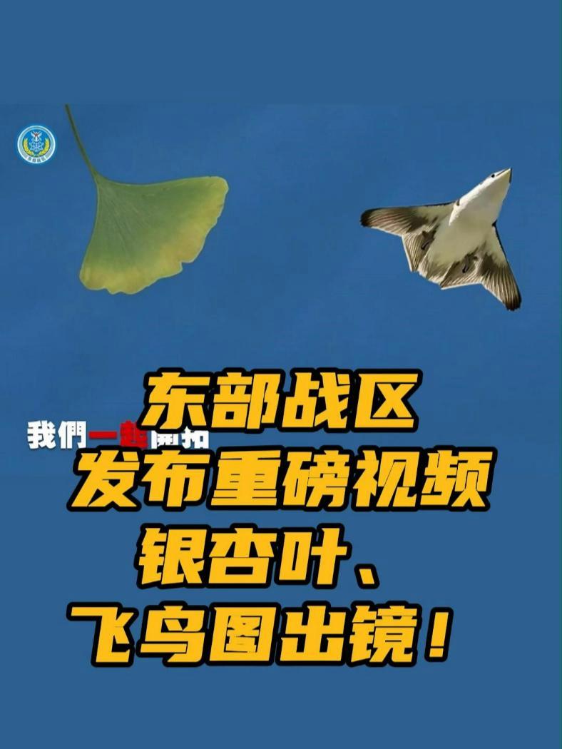 银杏叶、飞鸟图出镜!东部战区元旦发布重磅视频 2025年第一天,东部战区发布重磅MV《中国
