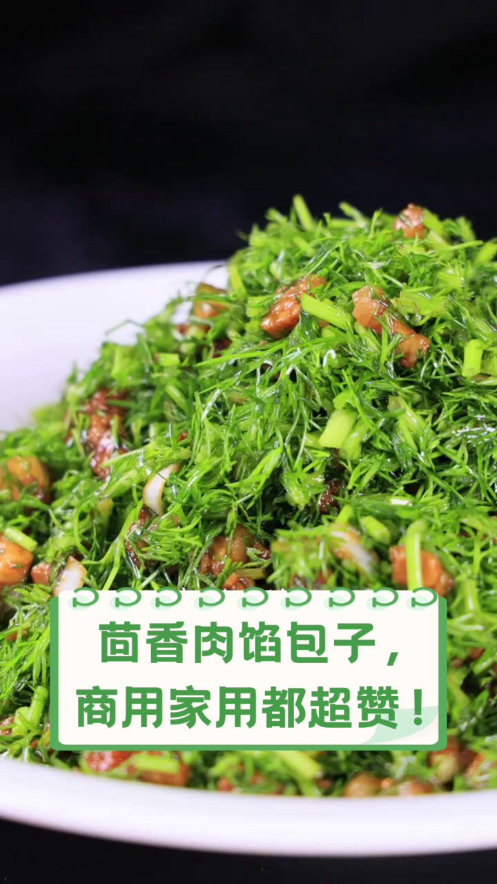 茴香肉馅包子，商用家用都超赞！