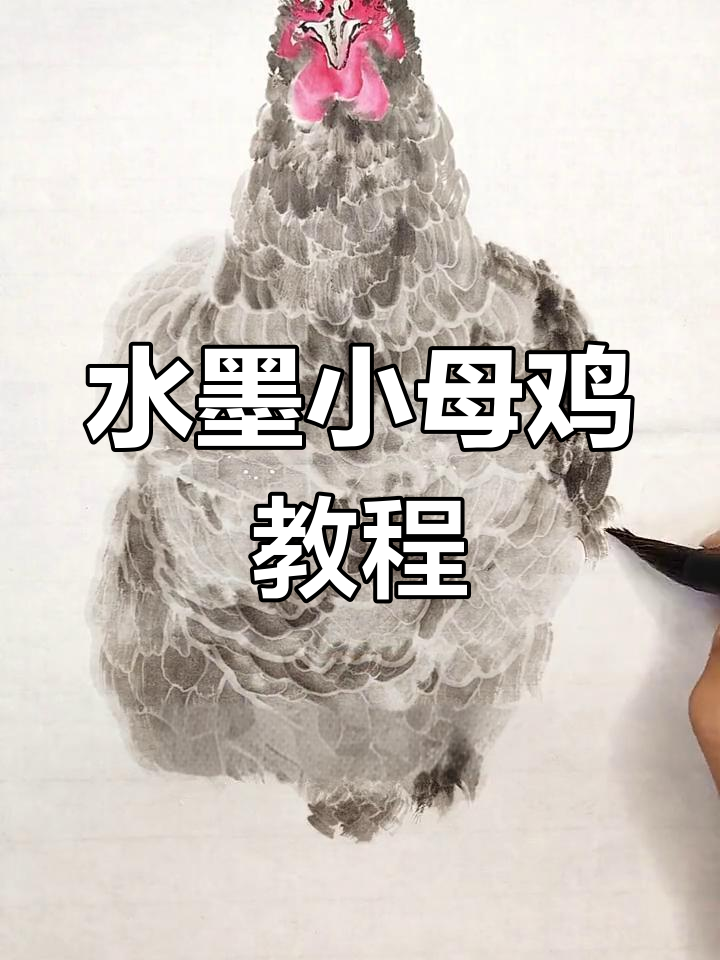 正面母鸡水墨画技巧,宣纸效果提升
