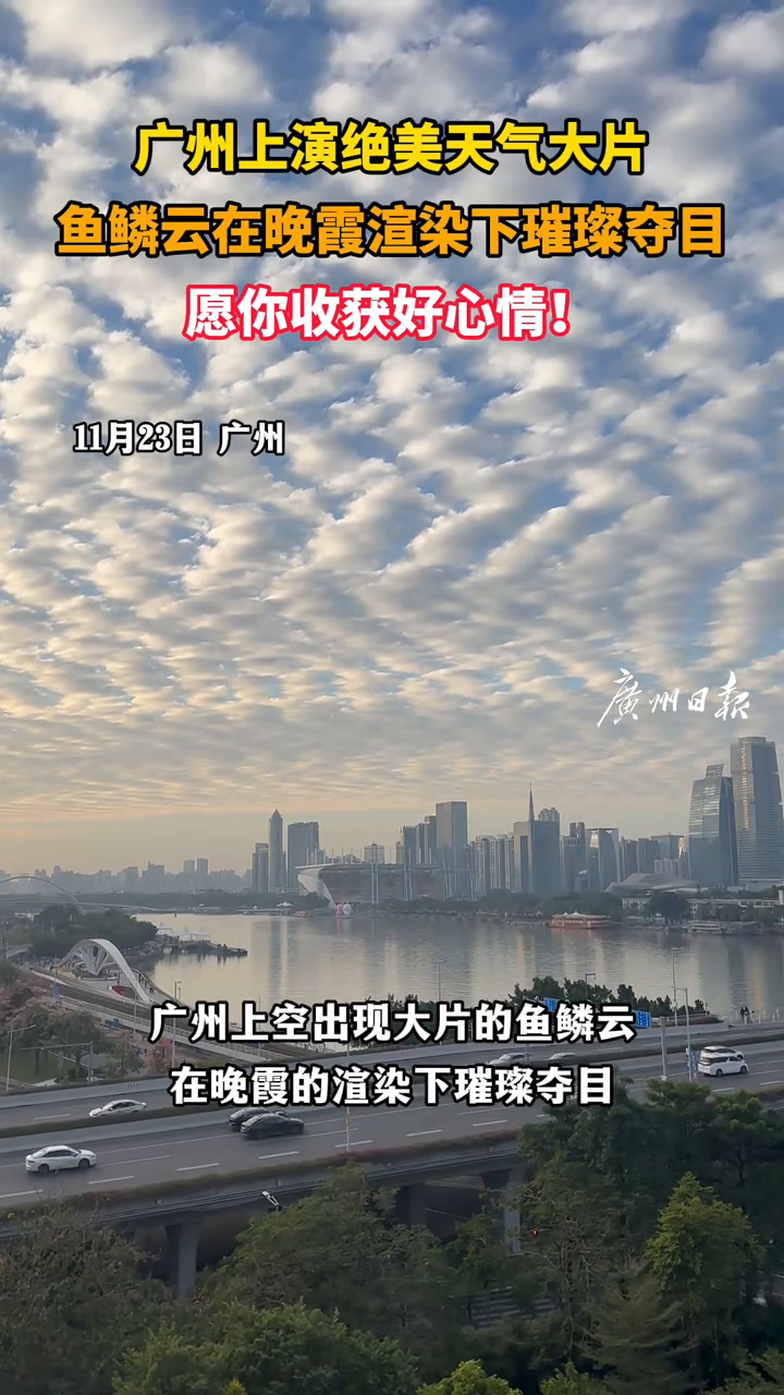 广州上演绝美天气大片 鱼鳞云在晚霞渲染下璀璨夺目