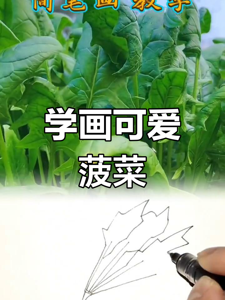轻松学画菠菜,简单又有趣!