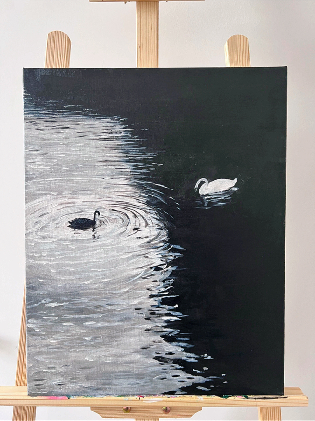 丙烯画|黑天鹅