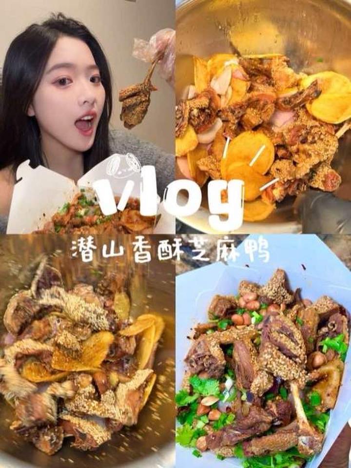 坐车一百多公里品尝香酥芝麻鸭vlog