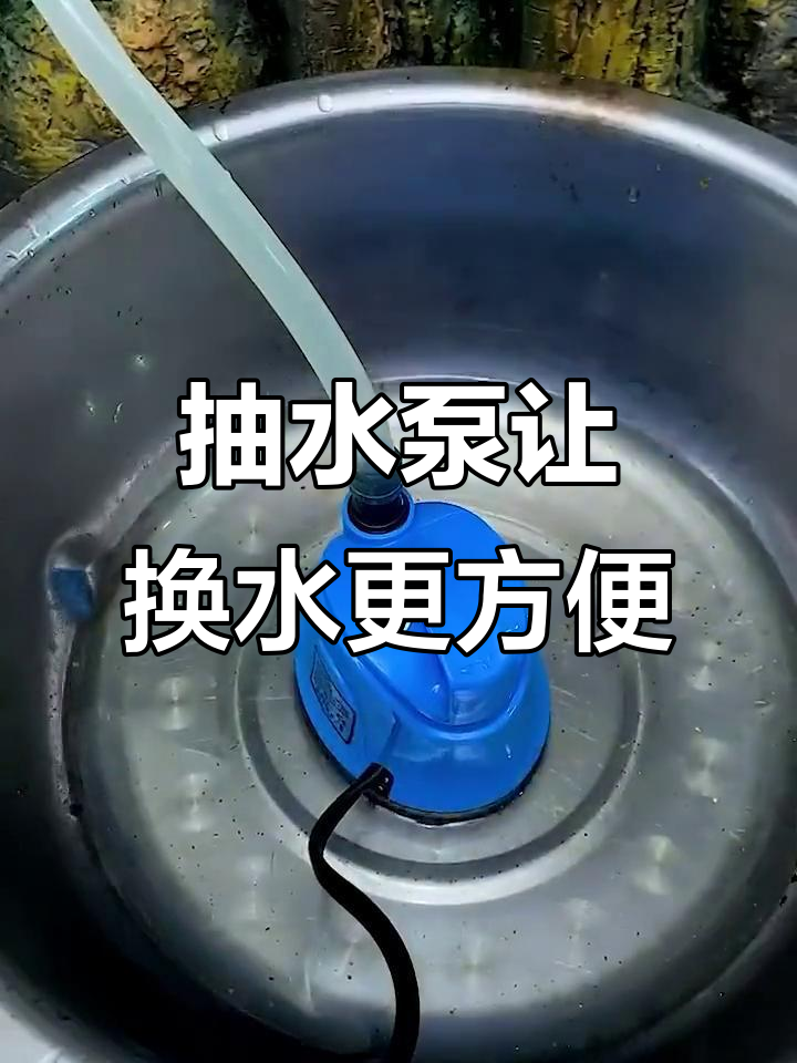 鱼缸换水更轻松,静音潜水泵帮你搞定