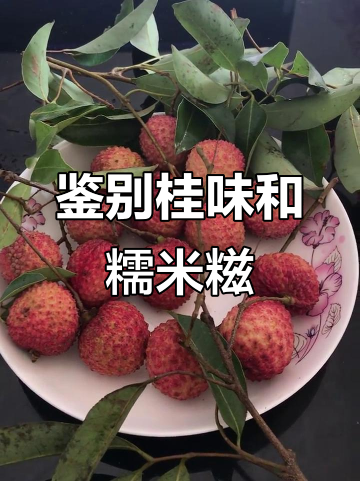 桂味与糯米糍荔枝大对比，口感、果核全解析