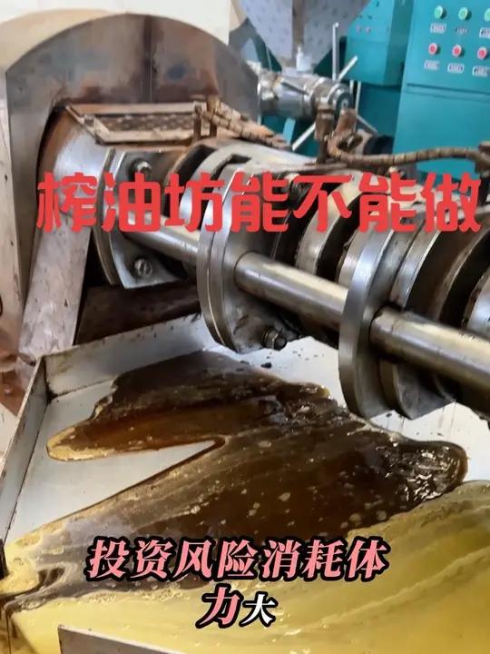 如何做好榨油坊祝开油坊的朋友都能开上大奔带着玉芬 #榨油机130榨油机#螺旋榨油机#榨油坊