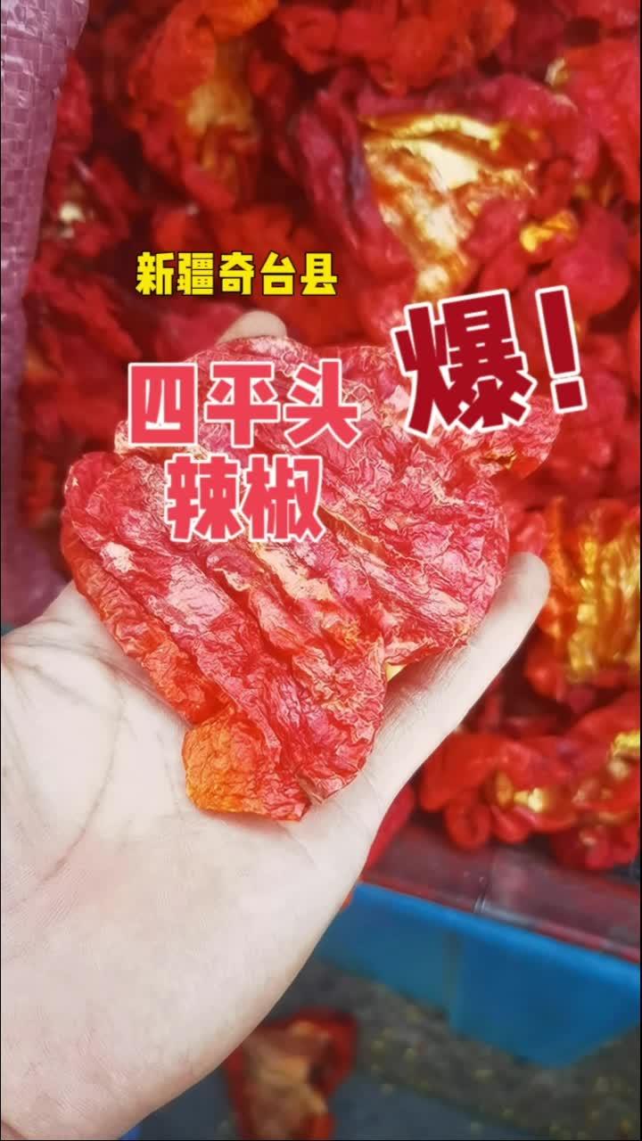 四平头辣椒 新疆奇台县四平头辣椒新货,香而不辣,适合家庭做菜,辣皮子拌面最好吃 新疆拌面 