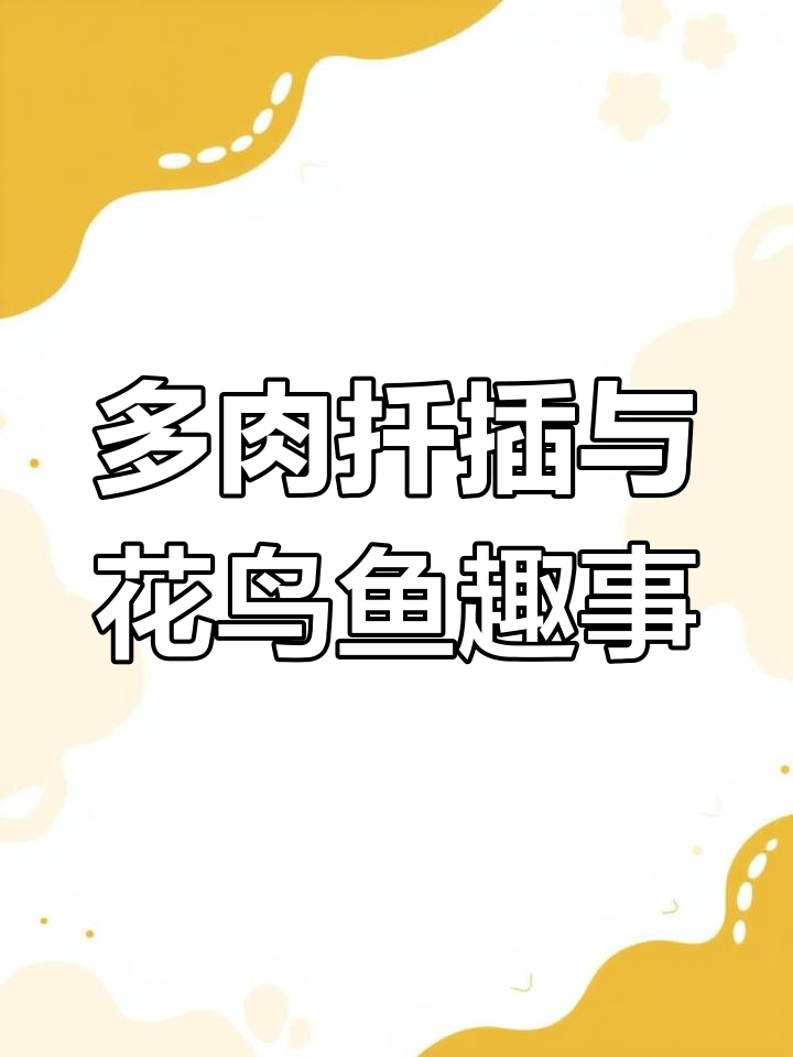 扦插多肉,星乙女也加入其中,植物造景微景观初具雏形