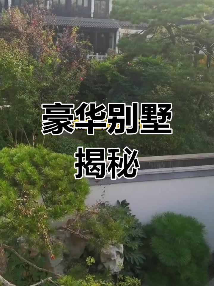 汤头温泉别墅,宽敞设计令人惊艳,业主身份引人好奇!
