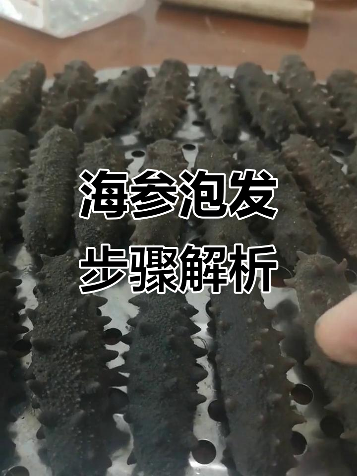 干海参泡发全攻略,教你如何轻松处理内脏