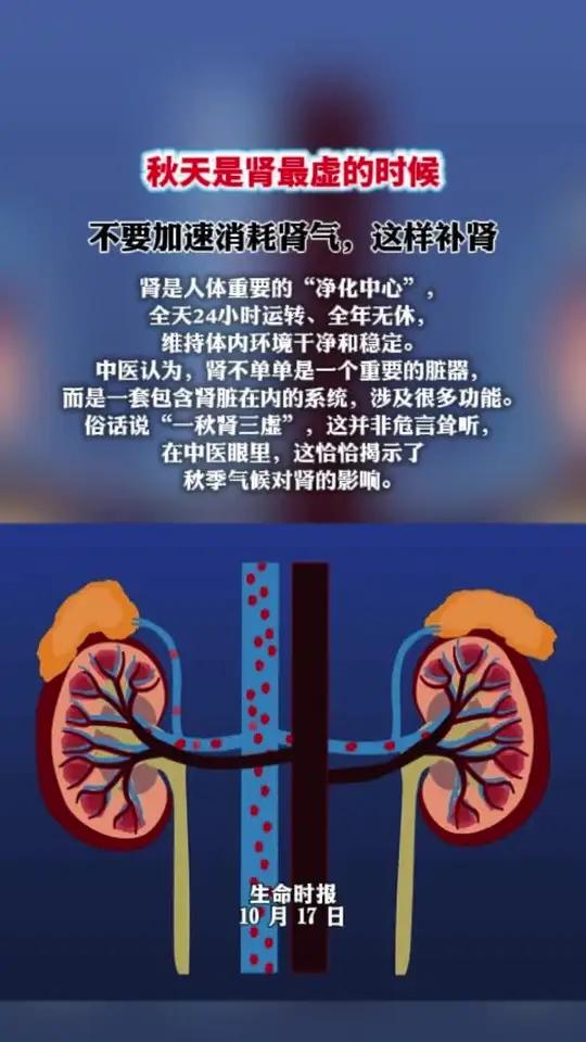 秋天是肾最虚的时候 4件事加速消耗肾气  肾是人体重要的“净化中心”,全天24小时运转、全