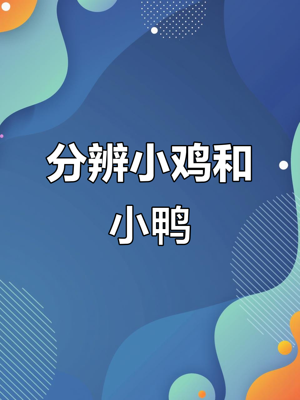 小鸡小鸭傻傻分不清?这些辨别技巧让孩子们轻松记住
