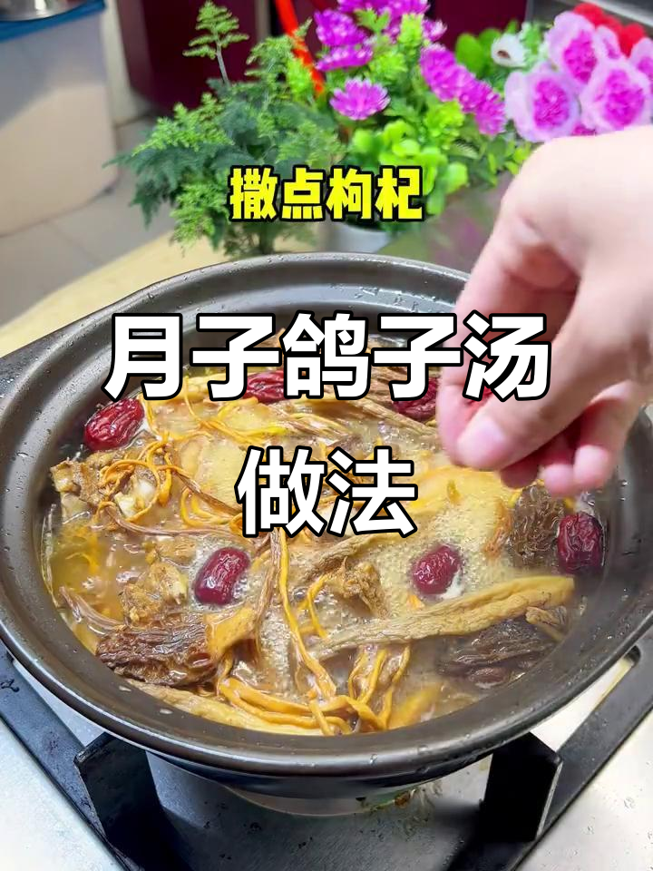 产后恢复必吃！鸽子汤炖法大揭秘，营养满分不腥