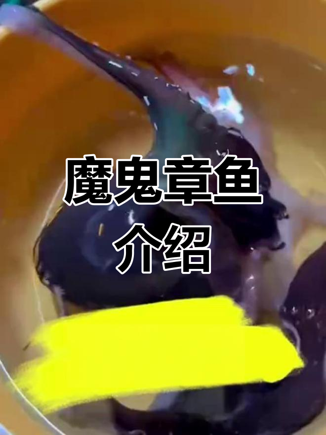 深海中的神秘生物:魔鬼章鱼揭秘