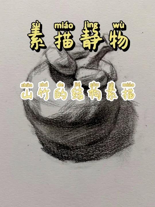 素描入门之山竹的结构画法,你会了吗?