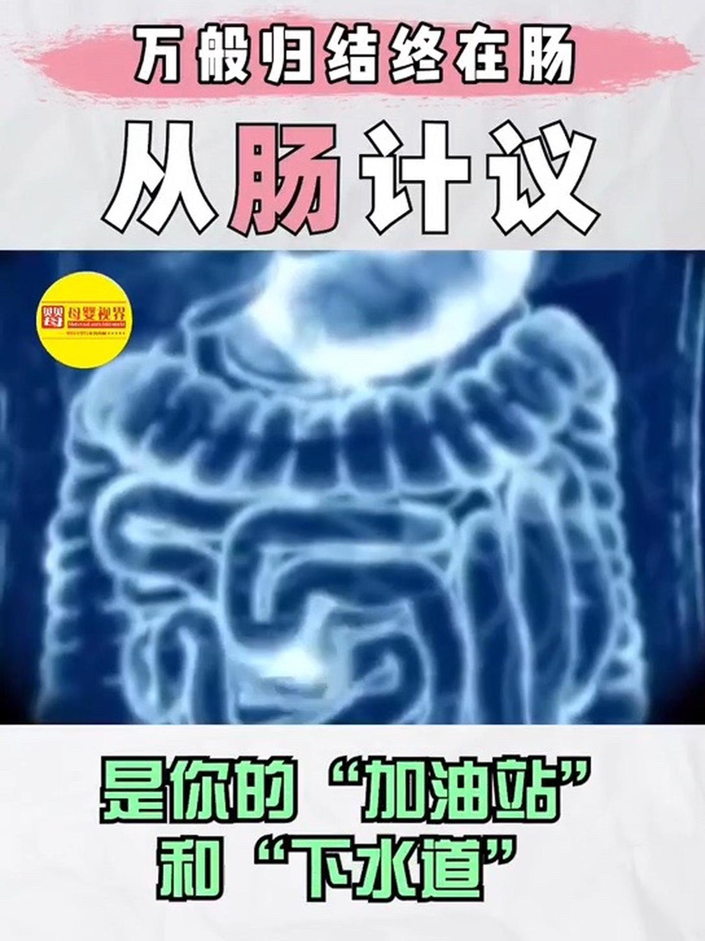 万般归结终在肠,肠道是人体最大的吸收器官、最大的免疫器官、最大的排毒器官,肠道健康身体才会