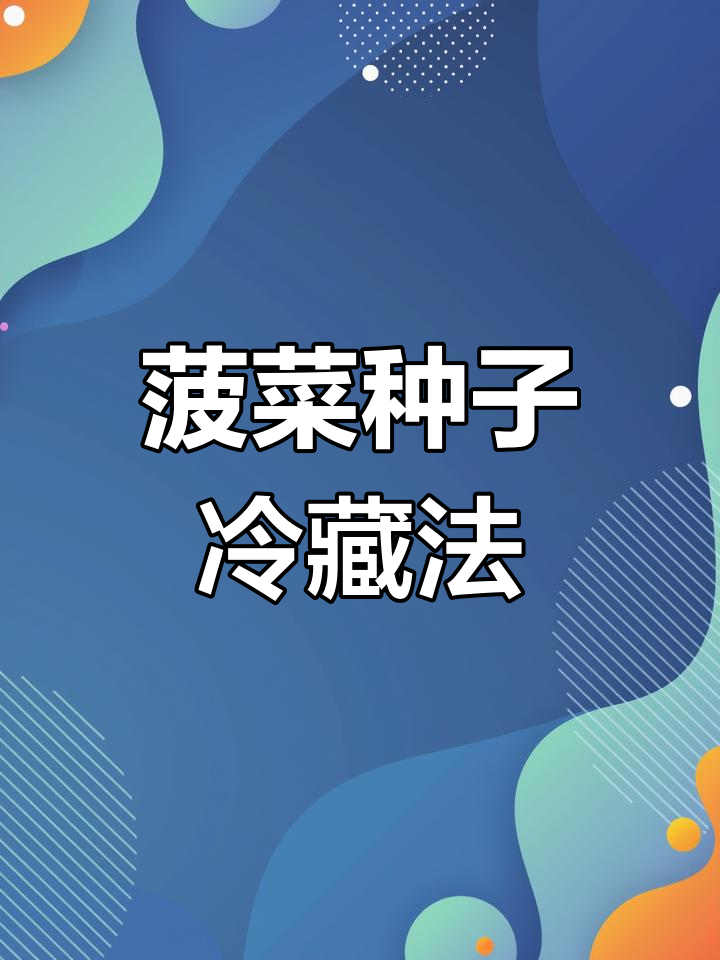 菠菜种子冰箱催芽技巧