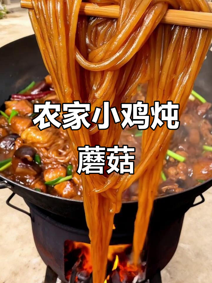 小鸡炖蘑菇粉条,汤汁浓郁超入味