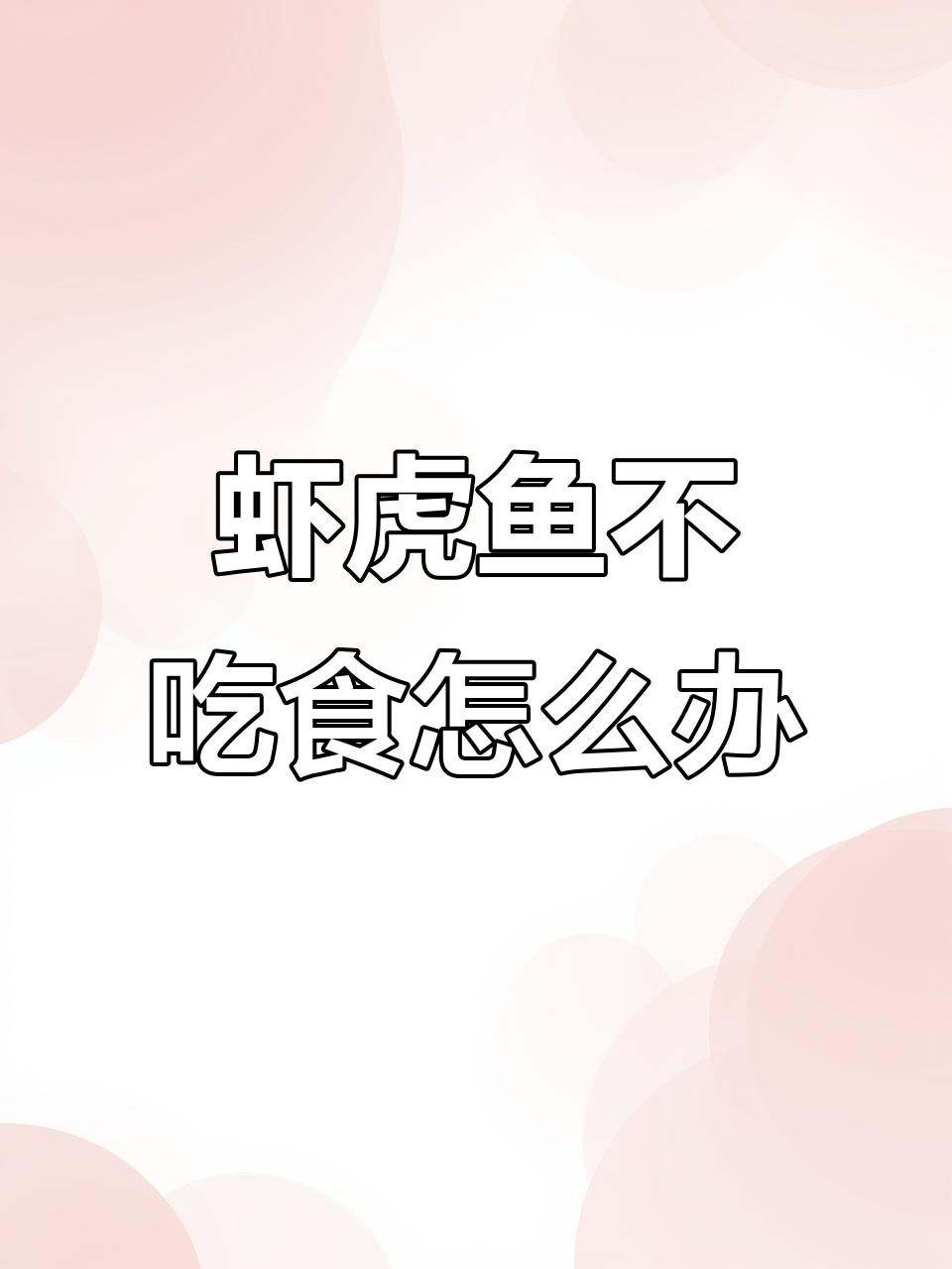 虾虎鱼不吃食怎么办?训练它吃饲料有妙招