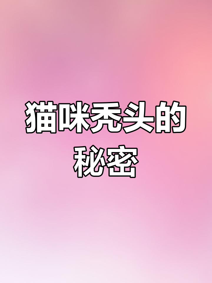 小猫秃头真相大揭秘,原来是这些原因导致的!