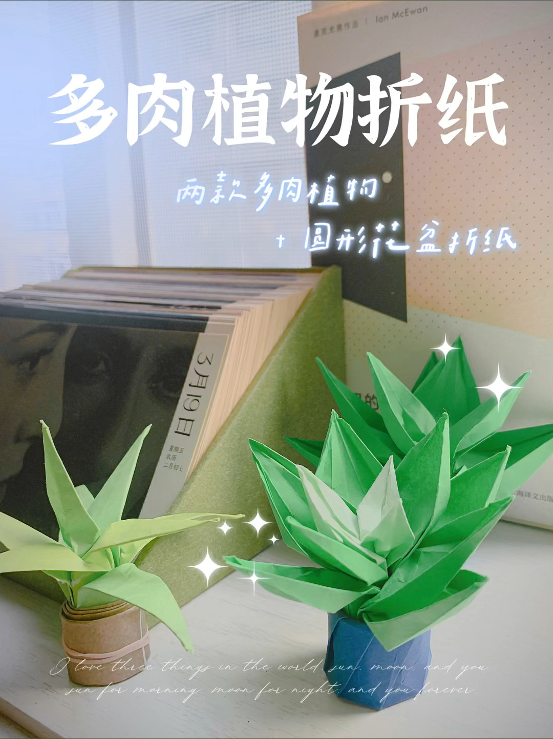 一点都不难的两款多肉植物折纸