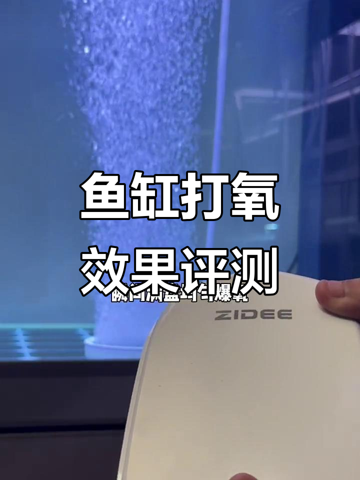 90厘米鱼缸打氧效果实测,均匀满盘看结果