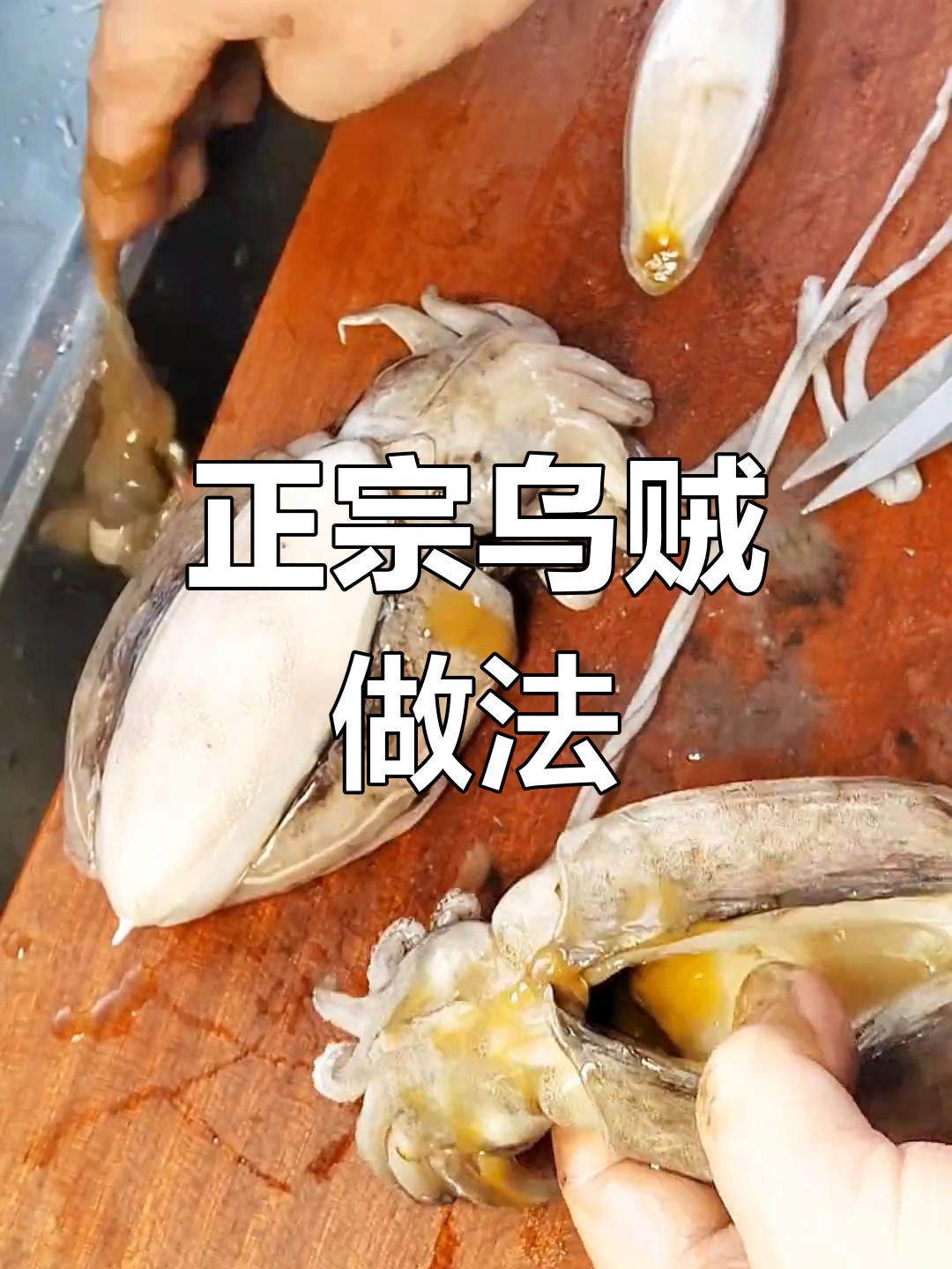 如何清洗乌贼,烧出美味口感