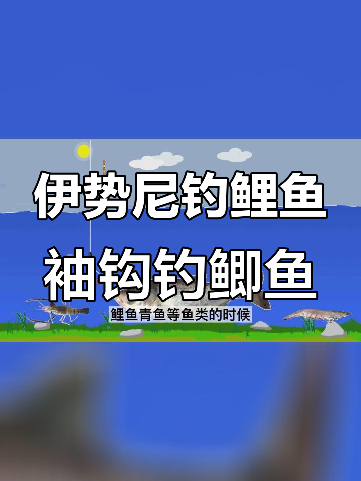 鱼钩种类选择指南:伊势尼与袖钩的适用场景