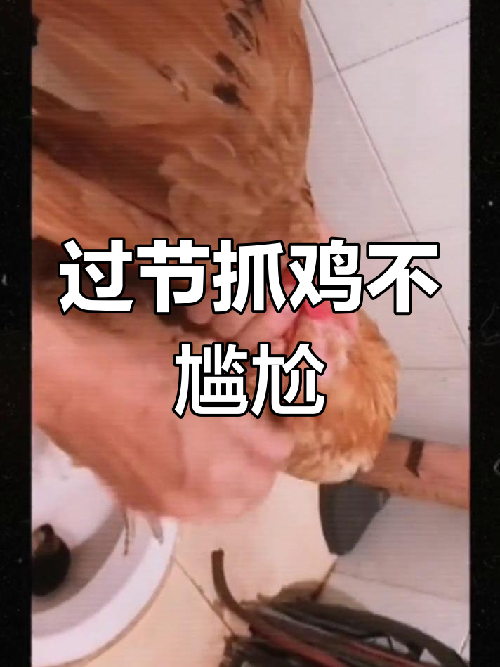 抓鸡技巧大揭秘,轻松应对节日聚餐