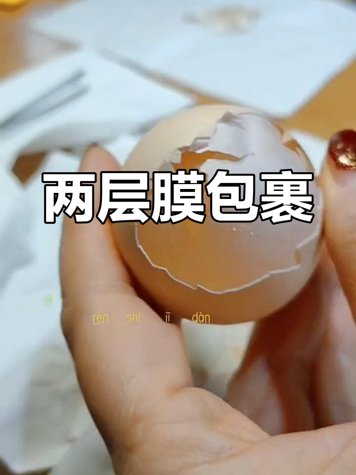 鸡蛋的奇妙结构