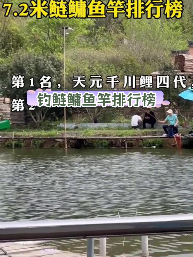 鲢鳙钓鱼竿推荐与排行